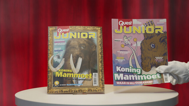 Sjoemelcircus: Quest Junior