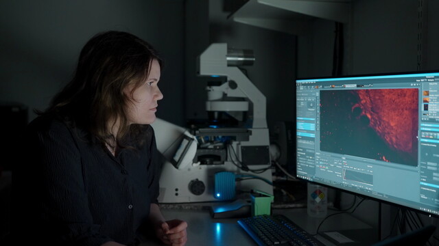 Focus - trauma in het vrouwenbrein