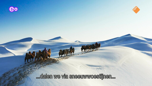 Natuur op 2: Frozen Planet