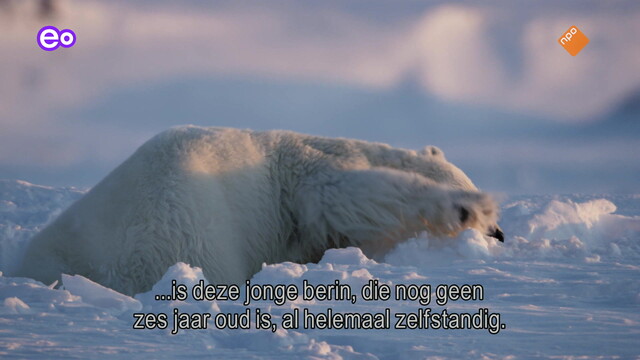 Frozen Planet