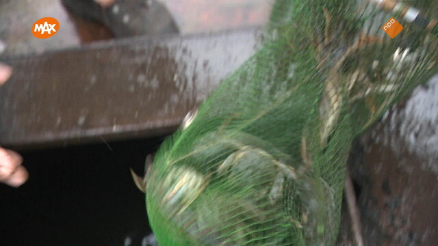 Noord-Zuid-Oost-West