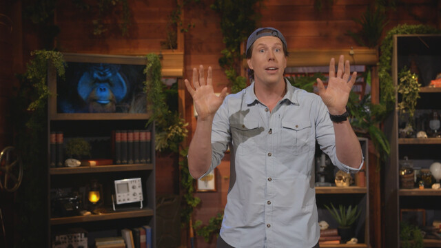 Freeks Jungle School - 8