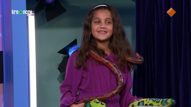 Raad eens wat ik doe