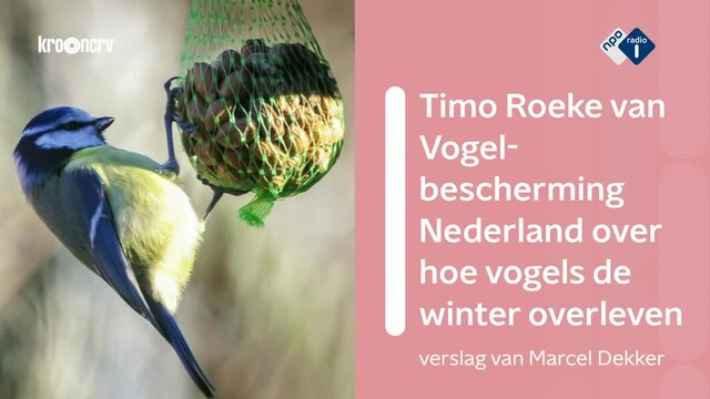 thumbnail RCRSA1_0628785855712