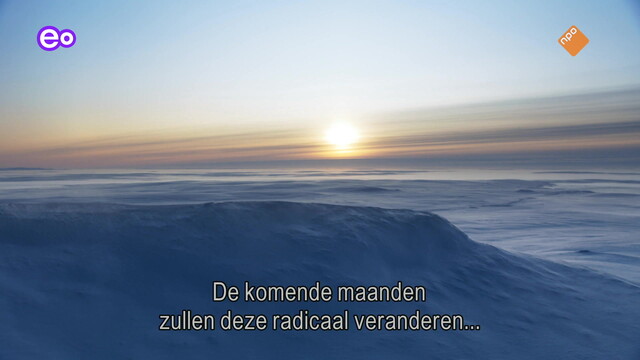 Natuur op 2: Frozen Planet