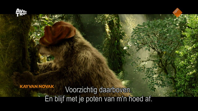 Zappbios: Paddington