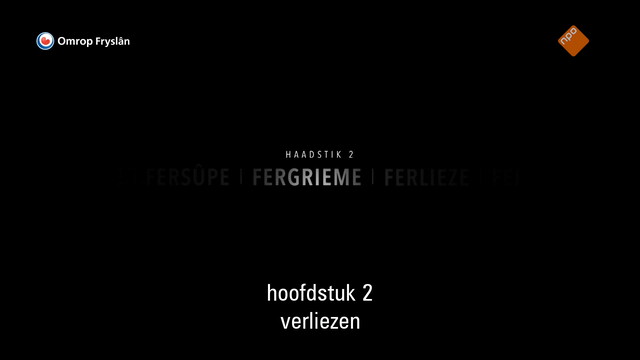 Override of the title Fryslân DOK