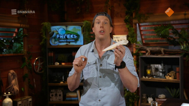 Freeks Jungle School
