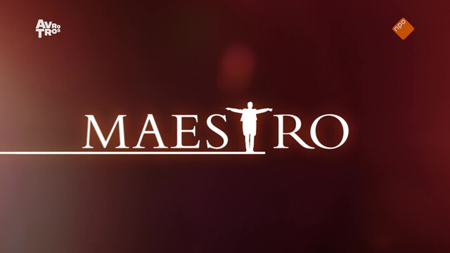 Maestro
