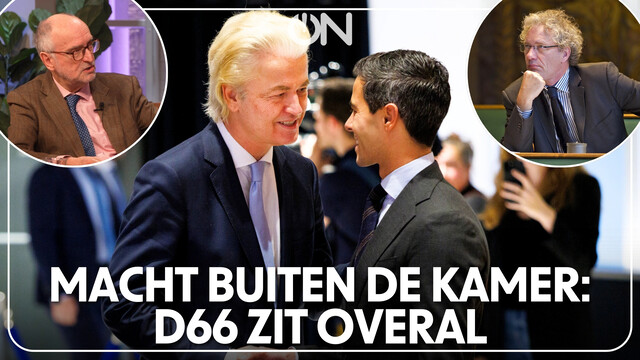 Hoe D66 constitutioneel is verankerd