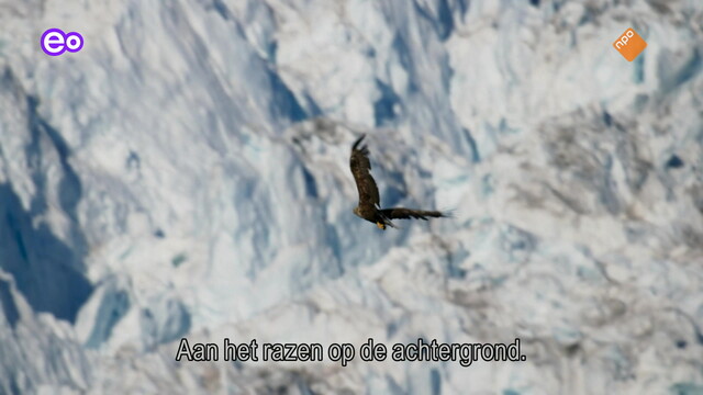 Frozen Planet