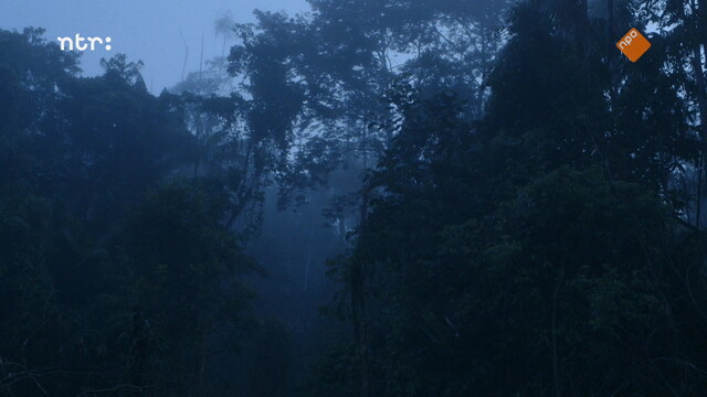 Het Uur van de Wolf: De jacht op mijn vader