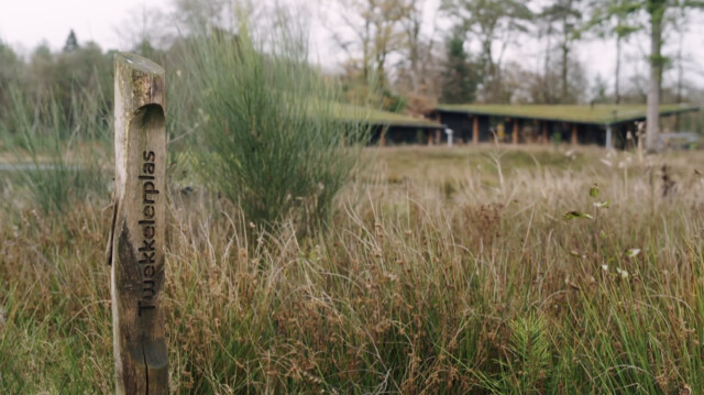 Natuur begraafplaats