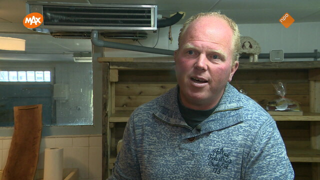 Noord-Zuid-Oost-West