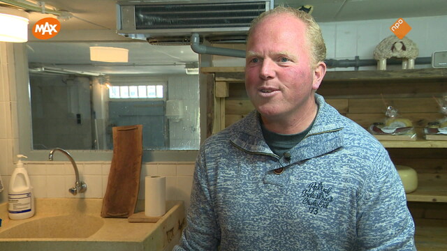 Noord-Zuid-Oost-West