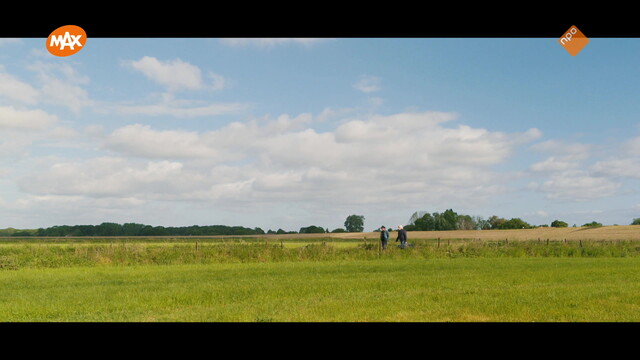 Noord-Zuid-Oost-West