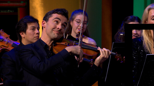 Violist Maestro