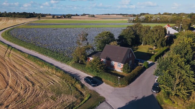 Override of the title Deens eiland