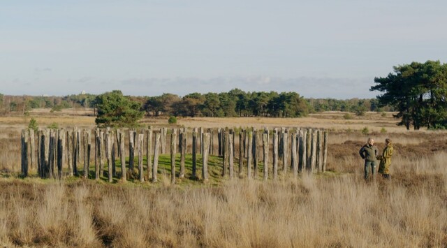 Override of the title Regte Heide