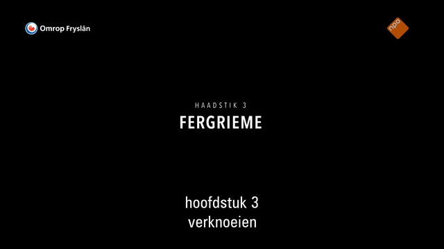 Override of the title Fryslân DOK