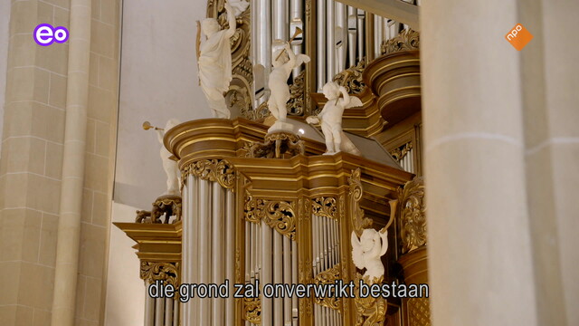 Override of the title Nederland Zingt