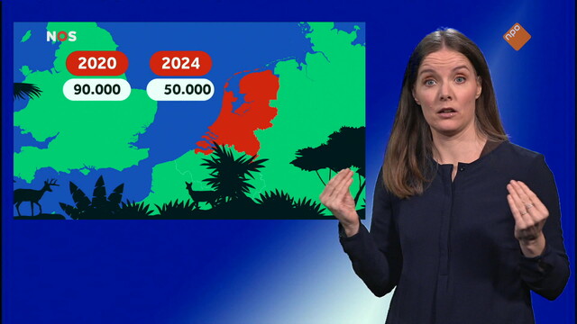 Override of the title NOS Jeugdjournaal met gebarentaal