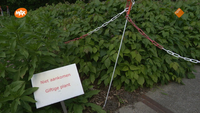 Noord-Zuid-Oost-West