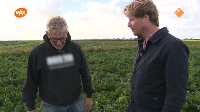 Noord-Zuid-Oost-West