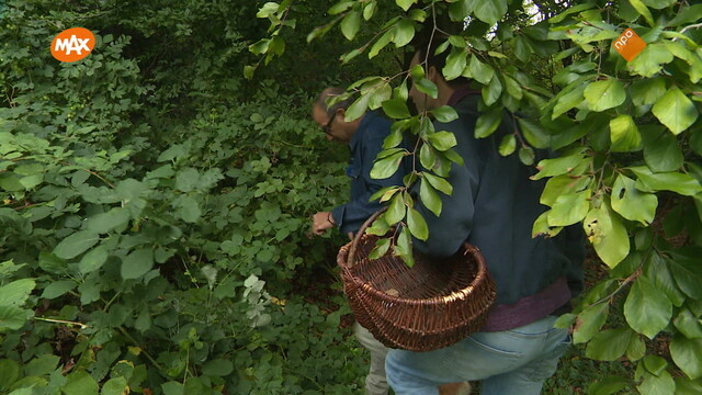 Noord-Zuid-Oost-West