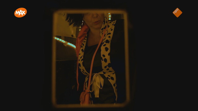 Noord-Zuid-Oost-West