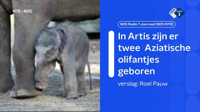 thumbnail RCRSA1_0265583748052