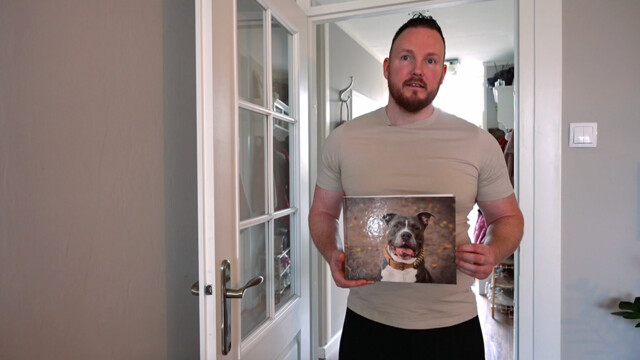 Misstanden rond overleden huisdieren bij dierencrematorium van Evidensia