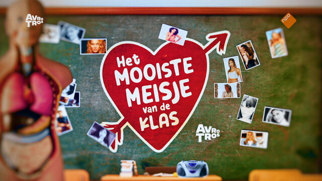 Het Mooiste Meisje van de Klas