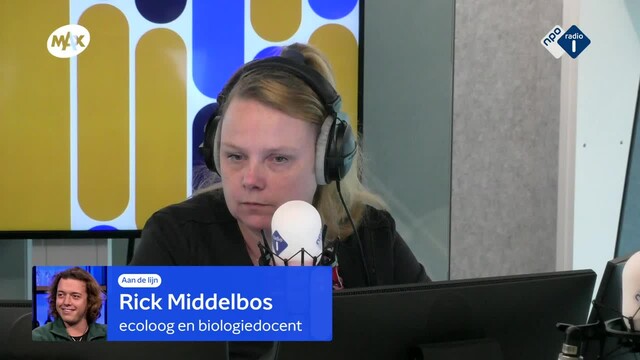 thumbnail RCRSA1_0122558933727