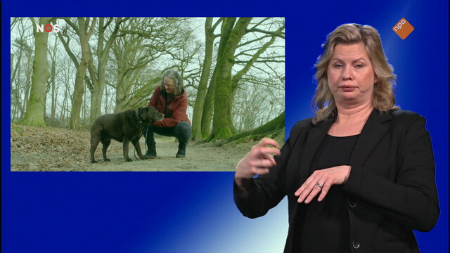 NOS Journaal met gebarentaal