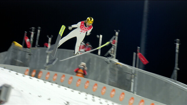 Skispringer
