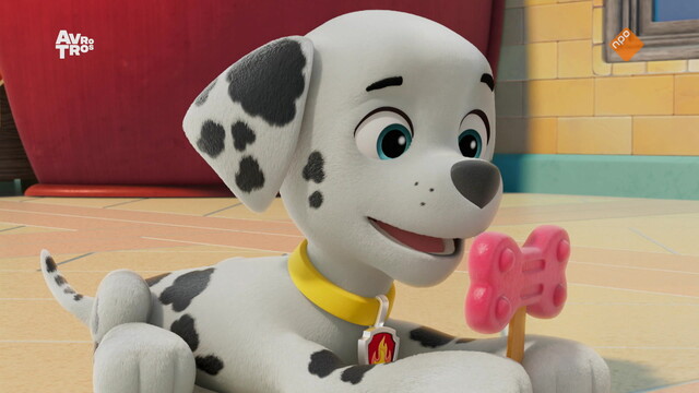Override of the title Paw Patrol