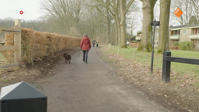 Override of the title NOS Journaal in Makkelijke Taal