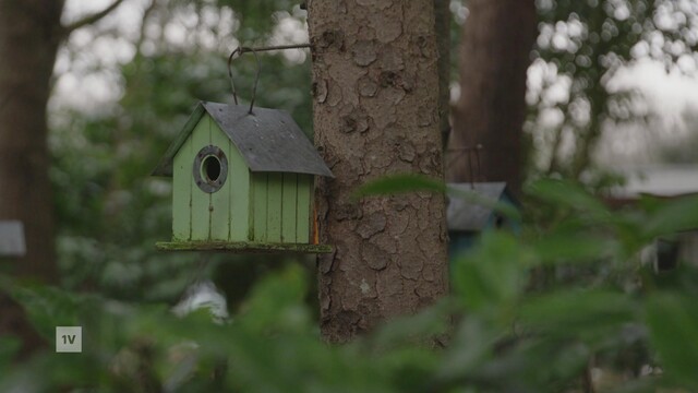 Wonen op een bungalowpark: de komende 10 jaar gedoogd