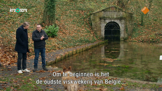 Override of the title BinnensteBuiten