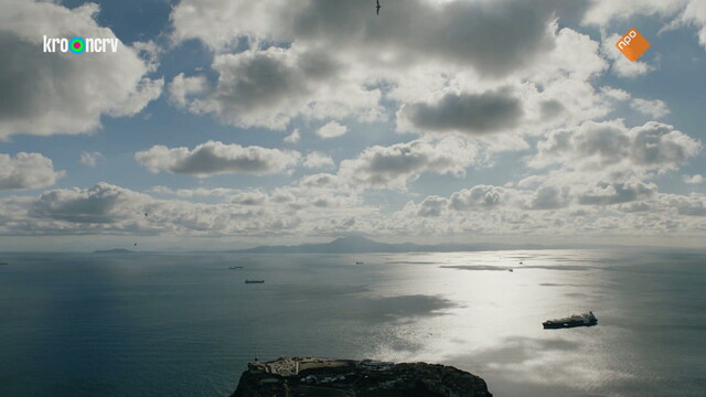 Reizen Waes Reizen Waes