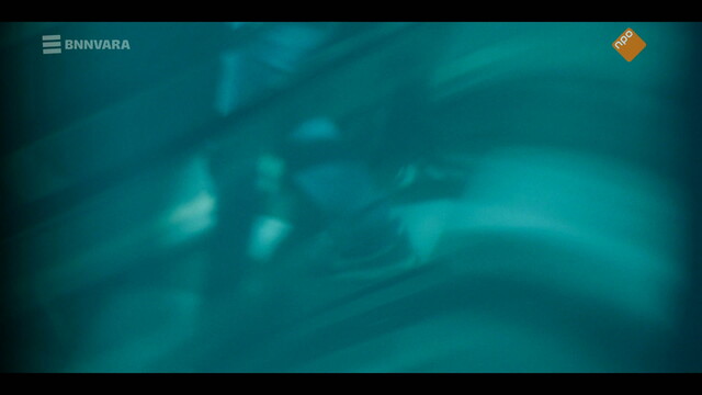 Niemand die het ziet compilatie