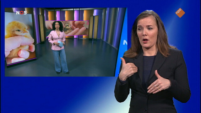 NOS Jeugdjournaal met gebarentaal