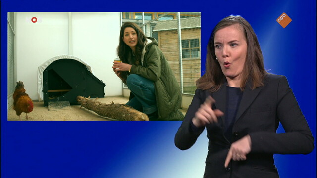 NOS Jeugdjournaal met gebarentaal