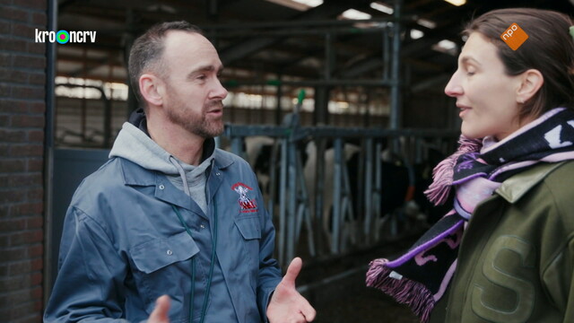 Keuringsdienst van waarde