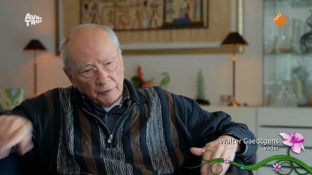 Het Mooiste Meisje van de Klas