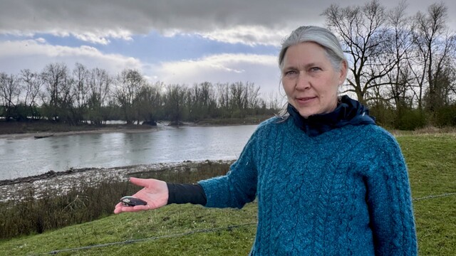 Zoetwatermosselen komen terug in de Nederlandse rivieren