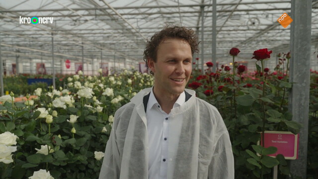 Bloemen voor de paus