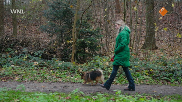 BRANDMERK - Kind van een Vermoorde Ouder