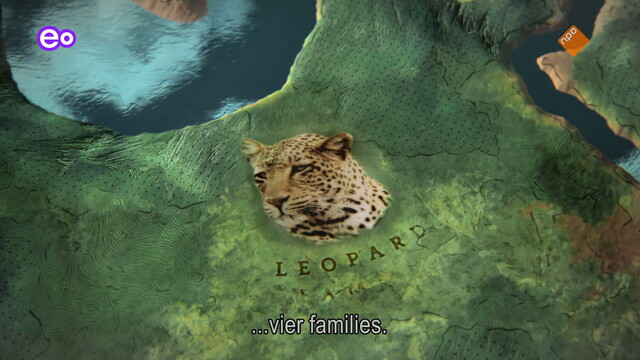 Attenborough: Kingdom